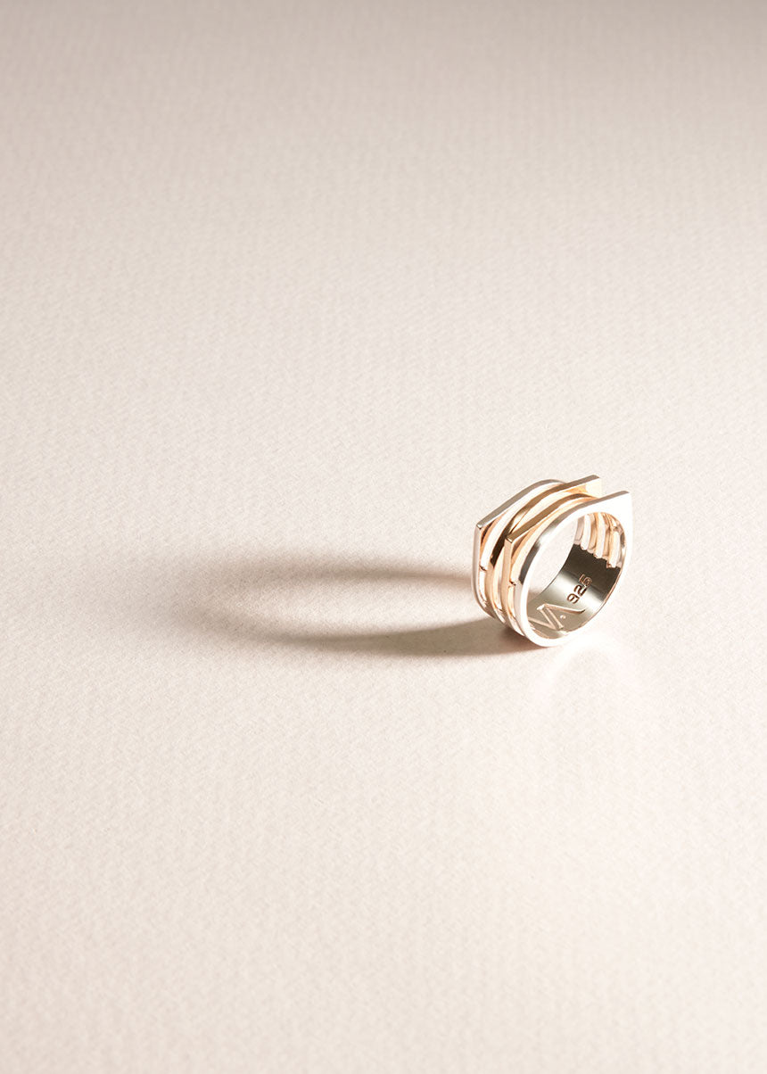 IRMINGER RING